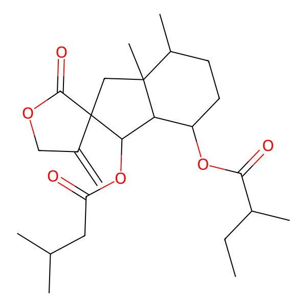2D Structure of [7,7a-dimethyl-3-(3-methylbutanoyloxy)-4'-methylidene-2'-oxospiro[3,3a,4,5,6,7-hexahydro-1H-indene-2,3'-oxolane]-4-yl] 2-methylbutanoate