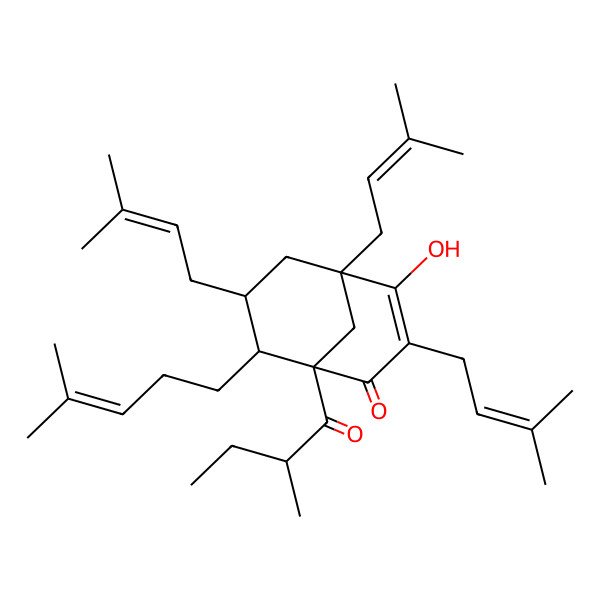 2D Structure of (1R,5R,7S,8R)-4-hydroxy-1-[(2R)-2-methylbutanoyl]-3,5,7-tris(3-methylbut-2-enyl)-8-(4-methylpent-3-enyl)bicyclo[3.3.1]non-3-en-2-one