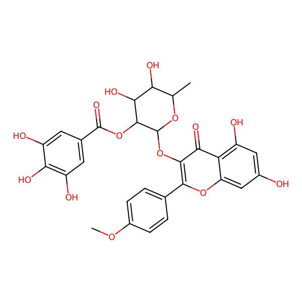 2D Structure of [2-[5,7-Dihydroxy-2-(4-methoxyphenyl)-4-oxochromen-3-yl]oxy-4,5-dihydroxy-6-methyloxan-3-yl] 3,4,5-trihydroxybenzoate