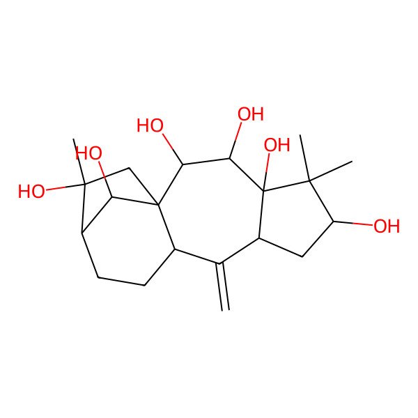 2D Structure of (1R,2S,3S,4R,6S,8S,10S,13R,14R,16R)-5,5,14-trimethyl-9-methylidenetetracyclo[11.2.1.01,10.04,8]hexadecane-2,3,4,6,14,16-hexol