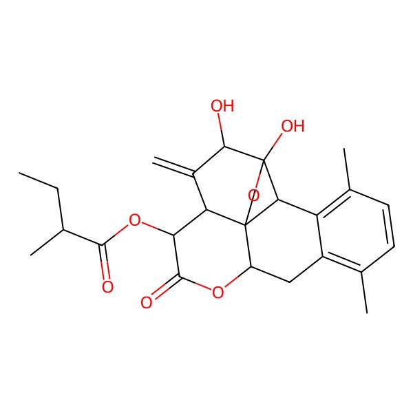 2D Structure of [(1S,4R,5R,7S,8R,11R,19R)-4,5-dihydroxy-14,17-dimethyl-6-methylidene-9-oxo-3,10-dioxapentacyclo[9.8.0.01,7.04,19.013,18]nonadeca-13,15,17-trien-8-yl] (2R)-2-methylbutanoate