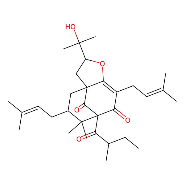 2D Structure of (1S,3S,8R,10S)-3-(2-hydroxypropan-2-yl)-9,9-dimethyl-8-(2-methylbutanoyl)-6,10-bis(3-methylbut-2-enyl)-4-oxatricyclo[6.3.1.01,5]dodec-5-ene-7,12-dione