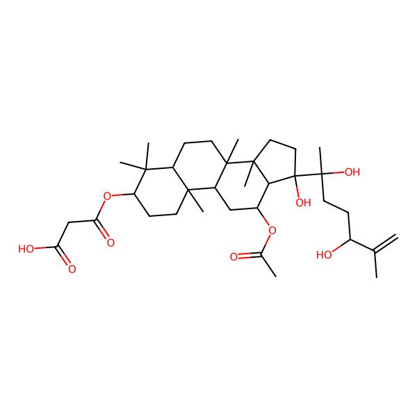 2D Structure of 3-[[(3R,5R,8R,9R,10R,12R,13R,14R,17R)-12-acetyloxy-17-[(2S,5R)-2,5-dihydroxy-6-methylhept-6-en-2-yl]-17-hydroxy-4,4,8,10,14-pentamethyl-1,2,3,5,6,7,9,11,12,13,15,16-dodecahydrocyclopenta[a]phenanthren-3-yl]oxy]-3-oxopropanoic acid