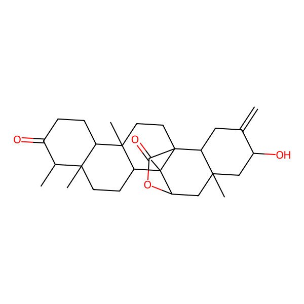 2D Structure of 19-Hydroxy-4,9,10,14,17-pentamethyl-20-methylidene-24-oxahexacyclo[13.7.2.01,14.04,13.05,10.017,22]tetracosane-8,23-dione