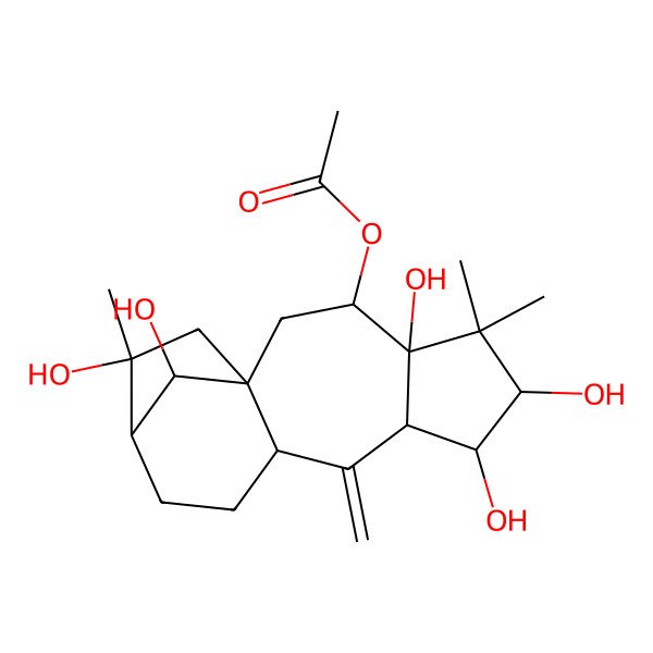 2D Structure of (4,6,7,14,16-Pentahydroxy-5,5,14-trimethyl-9-methylidene-3-tetracyclo[11.2.1.01,10.04,8]hexadecanyl) acetate