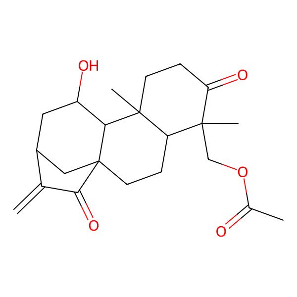 2D Structure of [(1R,4S,5R,9R,10S,11R,13S)-11-hydroxy-5,9-dimethyl-14-methylidene-6,15-dioxo-5-tetracyclo[11.2.1.01,10.04,9]hexadecanyl]methyl acetate