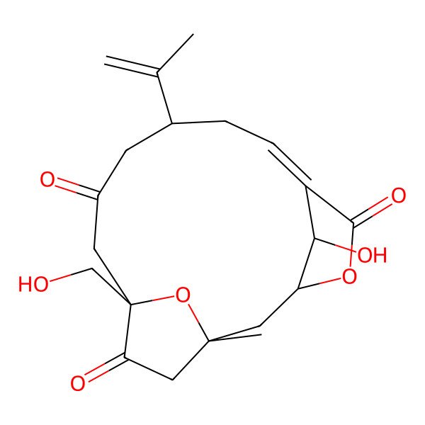 2D Structure of sinulochmodin B