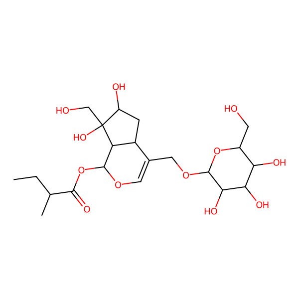 2D Structure of [(1S,4aS,6S,7R,7aS)-6,7-dihydroxy-7-(hydroxymethyl)-4-[[(2R,3R,4S,5S,6R)-3,4,5-trihydroxy-6-(hydroxymethyl)oxan-2-yl]oxymethyl]-4a,5,6,7a-tetrahydro-1H-cyclopenta[c]pyran-1-yl] 2-methylbutanoate