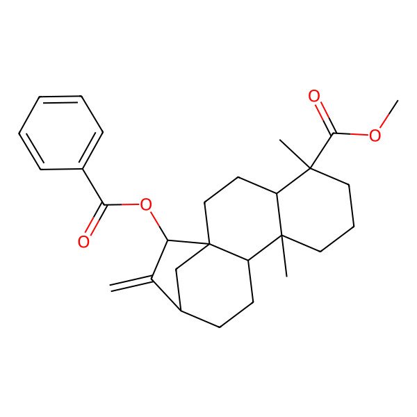 2D Structure of methyl (1R,4S,5R,9S,10S,13R,15S)-15-benzoyloxy-5,9-dimethyl-14-methylidenetetracyclo[11.2.1.01,10.04,9]hexadecane-5-carboxylate