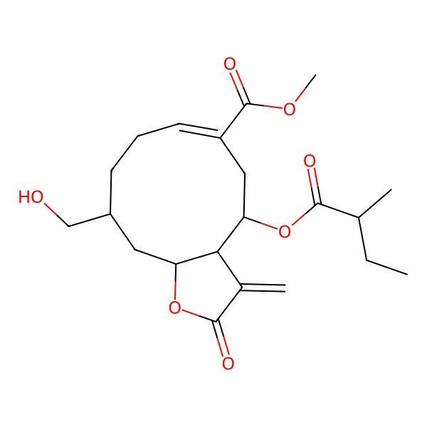 2D Structure of methyl (3aS,4R,6E,10R,11aR)-10-(hydroxymethyl)-4-[(2R)-2-methylbutanoyl]oxy-3-methylidene-2-oxo-3a,4,5,8,9,10,11,11a-octahydrocyclodeca[b]furan-6-carboxylate