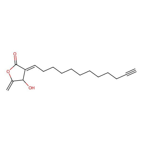 2D Structure of (3E,4R)-3-dodec-11-ynylidene-4-hydroxy-5-methylideneoxolan-2-one