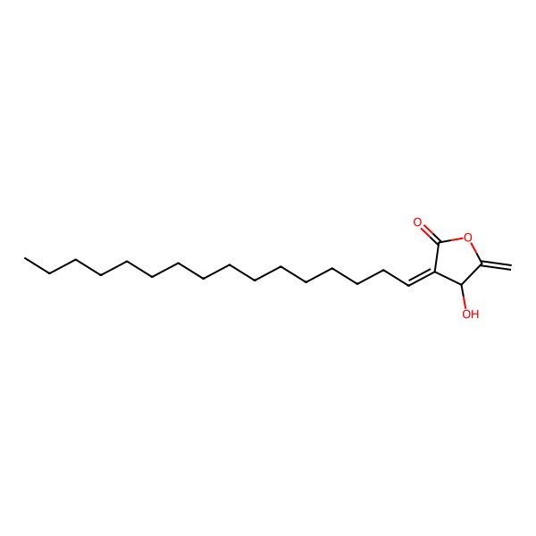 2D Structure of (3E,4R)-3-hexadecylidene-4-hydroxy-5-methylideneoxolan-2-one