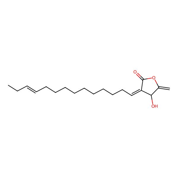 2D Structure of (3E,4R)-4-hydroxy-5-methylidene-3-[(E)-tetradec-11-enylidene]oxolan-2-one