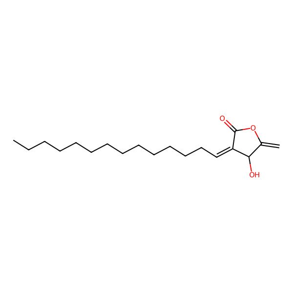 2D Structure of (3E,4R)-4-hydroxy-5-methylidene-3-tetradecylideneoxolan-2-one