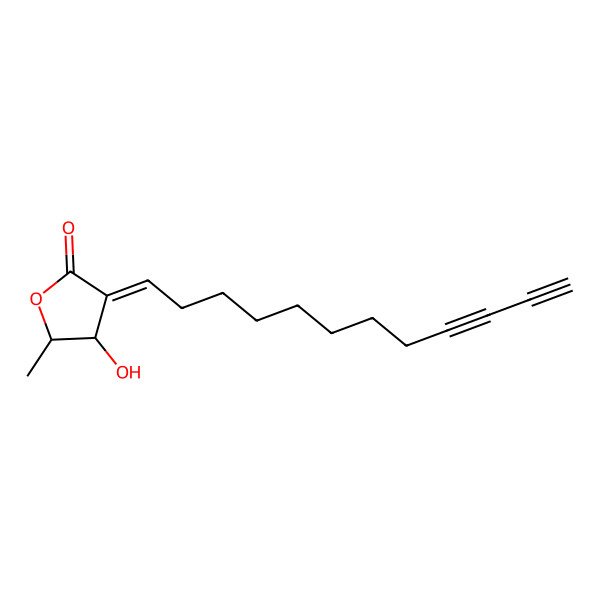 2D Structure of (3E,4R,5R)-3-dodeca-9,11-diynylidene-4-hydroxy-5-methyloxolan-2-one