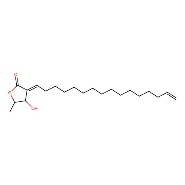 2D Structure of (3E,4R,5S)-3-hexadec-15-enylidene-4-hydroxy-5-methyloxolan-2-one