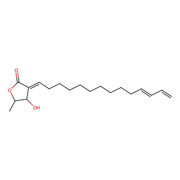 2D Structure of (3E,4S,5R)-4-hydroxy-5-methyl-3-[(11E)-tetradeca-11,13-dienylidene]oxolan-2-one