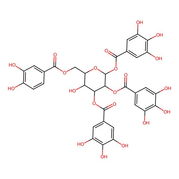 2D Structure of [2-[(3,4-Dihydroxybenzoyl)oxymethyl]-3-hydroxy-5,6-bis[(3,4,5-trihydroxybenzoyl)oxy]oxan-4-yl] 3,4,5-trihydroxybenzoate