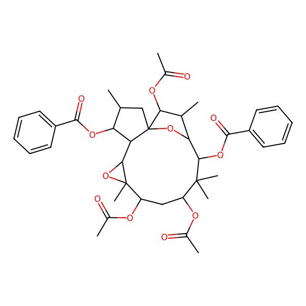 2D Structure of [(1R,3S,4S,5R,6R,8R,9R,11R,13R,14R,15S,16S)-9,11,16-triacetyloxy-13-benzoyloxy-3,8,12,12,15-pentamethyl-7,17-dioxatetracyclo[12.2.1.01,5.06,8]heptadecan-4-yl] benzoate