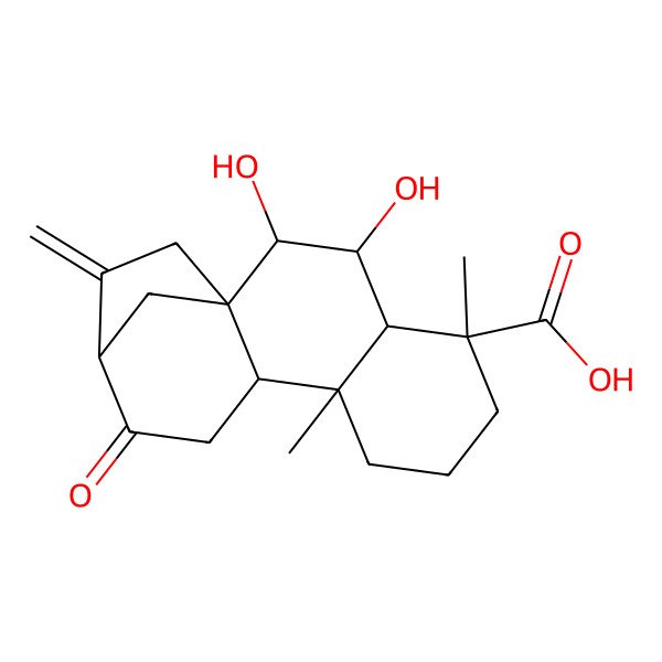 2D Structure of (1R,2R,3S,4S,5R,9S,10S,13R)-2,3-dihydroxy-5,9-dimethyl-14-methylidene-12-oxotetracyclo[11.2.1.01,10.04,9]hexadecane-5-carboxylic acid