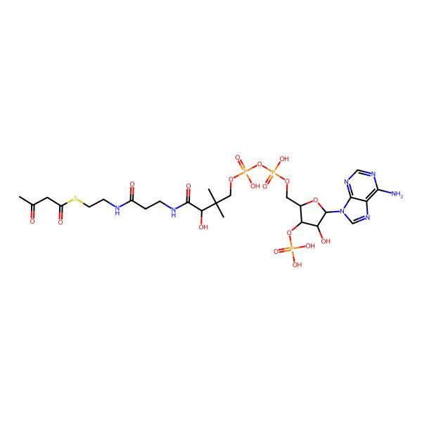 2D Structure of S-[2-[3-[[(2S)-4-[[[(2R,3R,4S,5S)-5-(6-aminopurin-9-yl)-4-hydroxy-3-phosphonooxyoxolan-2-yl]methoxy-hydroxyphosphoryl]oxy-hydroxyphosphoryl]oxy-2-hydroxy-3,3-dimethylbutanoyl]amino]propanoylamino]ethyl] 3-oxobutanethioate