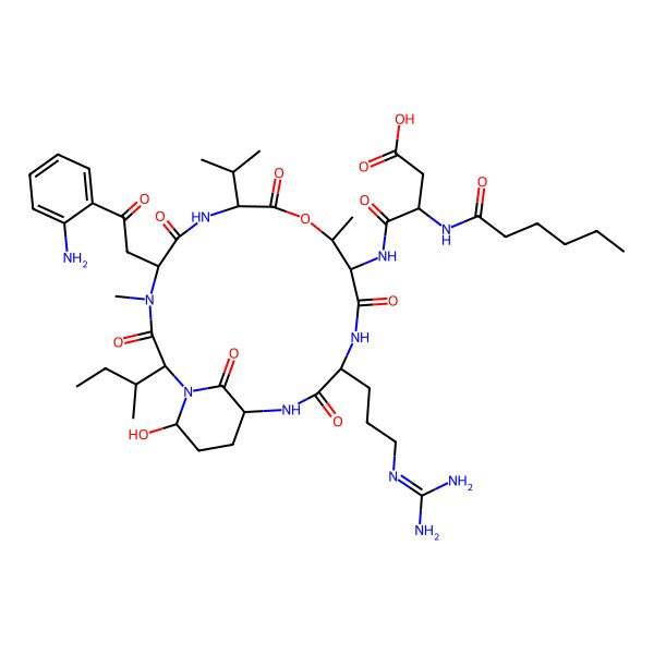 2D Structure of 4-[[5-[2-(2-Aminophenyl)-2-oxoethyl]-2-butan-2-yl-15-[3-(diaminomethylideneamino)propyl]-21-hydroxy-4,11-dimethyl-3,6,9,13,16,22-hexaoxo-8-propan-2-yl-10-oxa-1,4,7,14,17-pentazabicyclo[16.3.1]docosan-12-yl]amino]-3-(hexanoylamino)-4-oxobutanoic acid