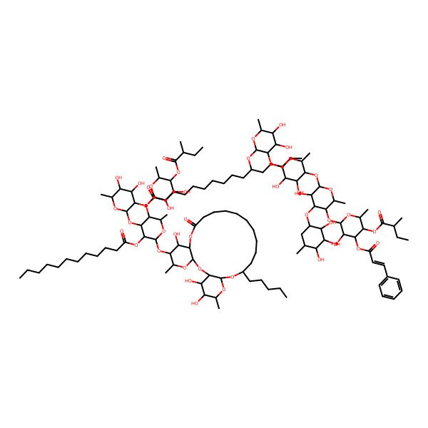 2D Structure of [(2S,3R,4R,5R,6S)-2-[(2S,3S,4R,5R,6S)-3-[(2S,3R,4S,5S,6S)-3,4-dihydroxy-6-methyl-5-(2-methylbutanoyloxy)oxan-2-yl]oxy-5-dodecanoyloxy-2-methyl-6-[[(1R,3S,5S,6R,7R,8R,20S,22R,24R,25R,26S)-7,25,26-trihydroxy-5,24-dimethyl-10-oxo-20-pentyl-2,4,9,21,23-pentaoxatricyclo[20.4.0.03,8]hexacosan-6-yl]oxy]oxan-4-yl]oxy-4,5-dihydroxy-6-methyloxan-3-yl] (11S)-11-[(2R,3R,4S,5R,6R)-3-[(2S,3R,4S,5R,6S)-3,4-dihydroxy-5-[(2S,3R,4S,5S,6S)-3-hydroxy-5-[(2S,3R,4S,5S,6S)-3-hydroxy-6-methyl-5-(2-methylbutanoyloxy)-4-[(E)-3-phenylprop-2-enoyl]oxyoxan-2-yl]oxy-6-methyl-4-[(1R,2R,3R,4S,5R)-2,3,4-trihydroxy-5-methylcyclohexyl]oxyoxan-2-yl]oxy-6-methyloxan-2-yl]oxy-4,5-dihydroxy-6-methyloxan-2-yl]oxyhexadecanoate
