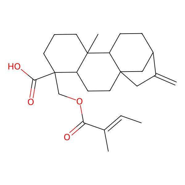2D Structure of (1S,4S,5R,9S,10R,13R)-9-methyl-5-[[(Z)-2-methylbut-2-enoyl]oxymethyl]-14-methylidenetetracyclo[11.2.1.01,10.04,9]hexadecane-5-carboxylic acid