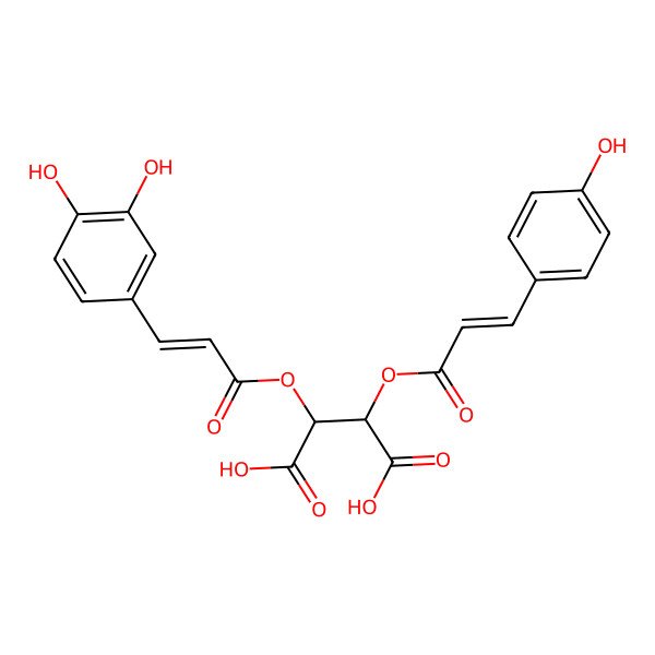 2D Structure of (2R,3R)-2-[(E)-3-(3,4-dihydroxyphenyl)prop-2-enoyl]oxy-3-[(E)-3-(4-hydroxyphenyl)prop-2-enoyl]oxybutanedioic acid