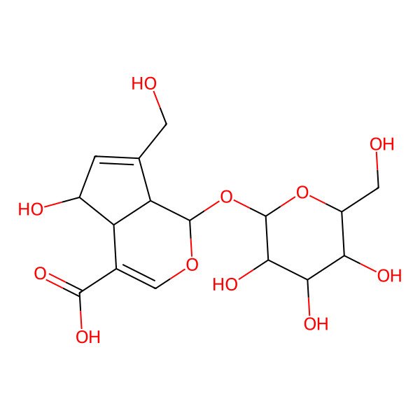 2D Structure of (1S,4aS,5R,7aS)-5-hydroxy-7-(hydroxymethyl)-1-[(2S,3R,4S,5R,6R)-3,4,5-trihydroxy-6-(hydroxymethyl)oxan-2-yl]oxy-1,4a,5,7a-tetrahydrocyclopenta[c]pyran-4-carboxylic acid
