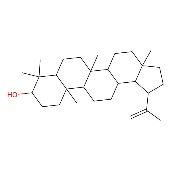 2D Structure of 3a,5b,8,8,11a-pentamethyl-1-prop-1-en-2-yl-2,3,4,5,5a,6,7,7a,9,10,11,11b,12,13,13a,13b-hexadecahydro-1H-cyclopenta[a]chrysen-9-ol