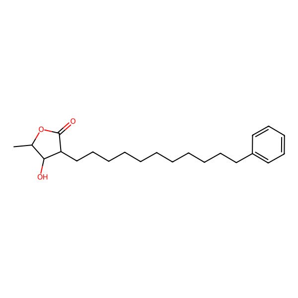 2D Structure of (3S,4R,5S)-4-hydroxy-5-methyl-3-(11-phenylundecyl)oxolan-2-one 2D Structure of (3S,4R,5S)-4-hydroxy-5-methyl-3-(11-phenylundecyl)oxolan-2-one