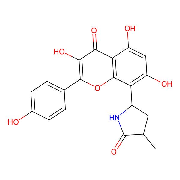 2D Structure of (3S,5R)-3-methyl-5-[3,5,7-trihydroxy-2-(4-hydroxyphenyl)-4-oxochromen-8-yl]pyrrolidin-2-one