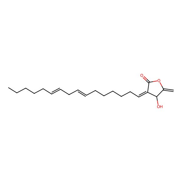 2D Structure of (3Z,4R)-3-[(7E,10E)-hexadeca-7,10-dienylidene]-4-hydroxy-5-methylideneoxolan-2-one