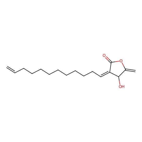2D Structure of (3Z,4R)-3-dodec-11-enylidene-4-hydroxy-5-methylideneoxolan-2-one