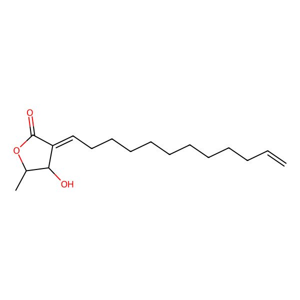 2D Structure of (3Z,4R,5S)-3-dodec-11-enylidene-4-hydroxy-5-methyloxolan-2-one