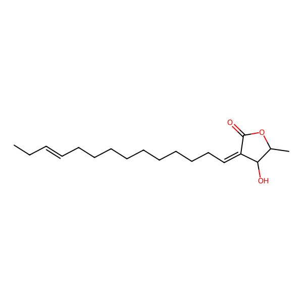 2D Structure of (3Z,4S,5R)-4-hydroxy-5-methyl-3-[(E)-tetradec-11-enylidene]oxolan-2-one