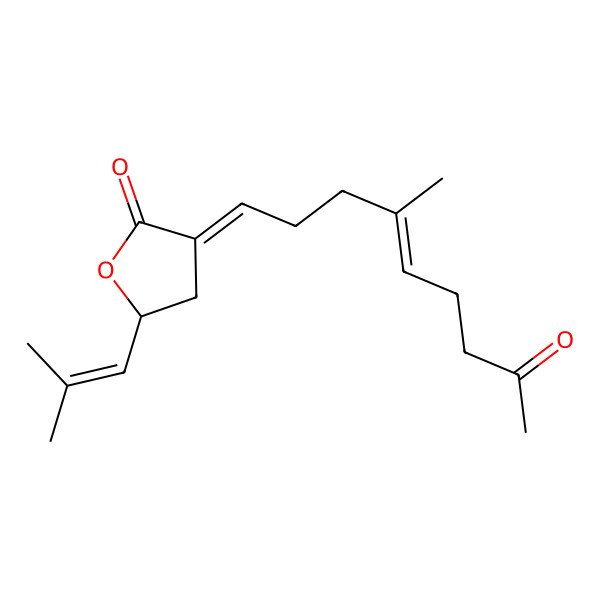 2D Structure of (3Z,5R)-3-[(E)-4-methyl-8-oxonon-4-enylidene]-5-(2-methylprop-1-enyl)oxolan-2-one