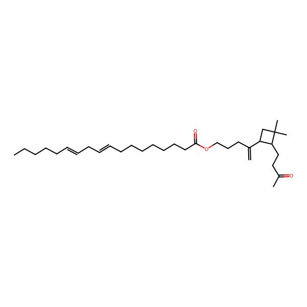 2D Structure of 4-[(1R,2S)-3,3-dimethyl-2-(3-oxobutyl)cyclobutyl]pent-4-enyl (9Z,12Z)-octadeca-9,12-dienoate