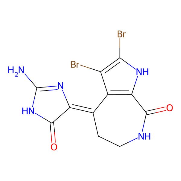 2D Structure of 4-(2-amino-5-oxo-1H-imidazol-4-ylidene)-2,3-dibromo-1,5,6,7-tetrahydropyrrolo[2,3-c]azepin-8-one