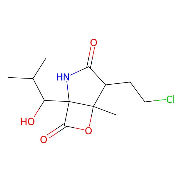 2D Structure of 4-(2-Chloroethyl)-1-(1-hydroxy-2-methylpropyl)-5-methyl-6-oxa-2-azabicyclo[3.2.0]heptane-3,7-dione