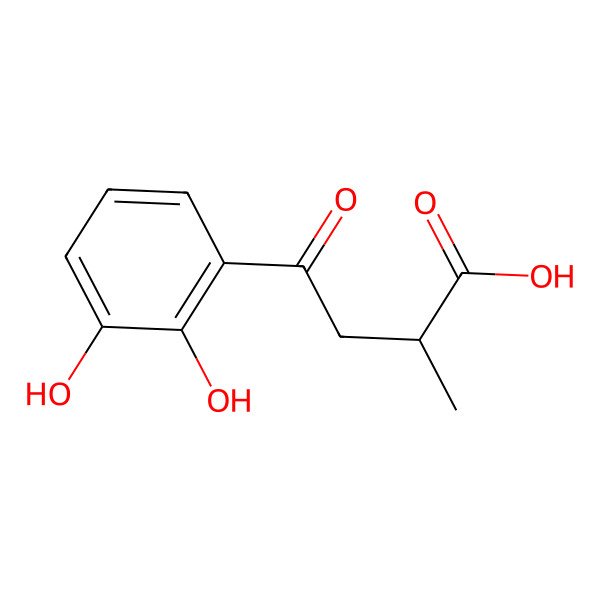 2D Structure of 4-(2,3-Dihydroxyphenyl)-2-methyl-4-oxobutanoic acid
