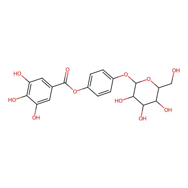2D Structure of [4-[(2S,3R,4S,5S,6R)-3,4,5-trihydroxy-6-(hydroxymethyl)oxan-2-yl]oxyphenyl] 3,4,5-trihydroxybenzoate