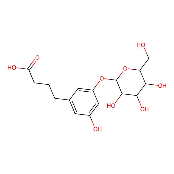 2D Structure of 4-[3-Hydroxy-5-[3,4,5-trihydroxy-6-(hydroxymethyl)oxan-2-yl]oxyphenyl]butanoic acid