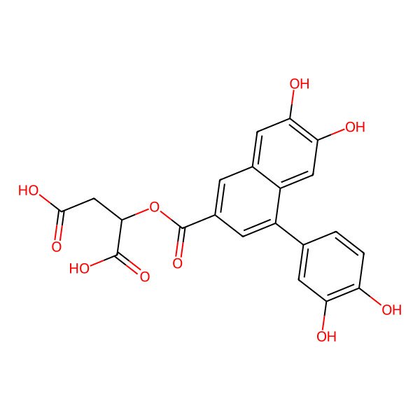 2D Structure of 4-(3,4-Dihydroxyphenyl)-6,7-dihydroxynaphthalene-2-carboxylic acid 1,2-dicarboxyethyl ester 2D Structure of 4-(3,4-Dihydroxyphenyl)-6,7-dihydroxynaphthalene-2-carboxylic acid 1,2-dicarboxyethyl ester