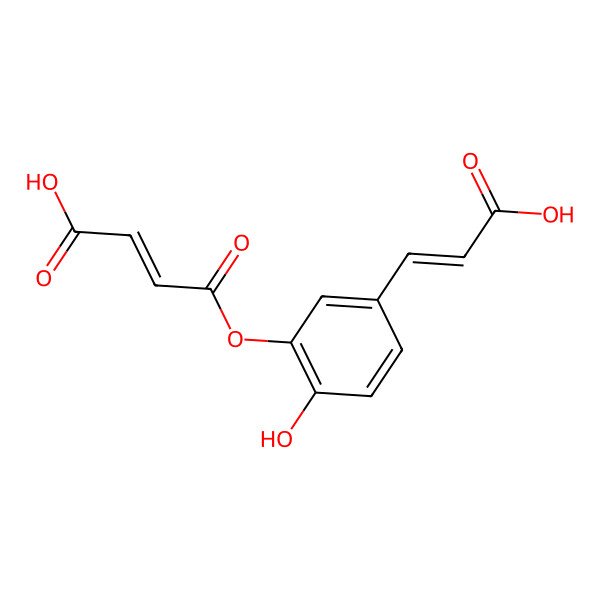 2D Structure of 4-[5-(2-Carboxyethenyl)-2-hydroxyphenoxy]-4-oxobut-2-enoic acid