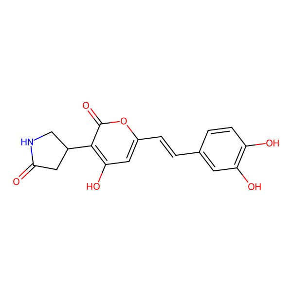 2D Structure of 4-[6-[2-(3,4-Dihydroxyphenyl)ethenyl]-4-hydroxy-2-oxopyran-3-yl]pyrrolidin-2-one