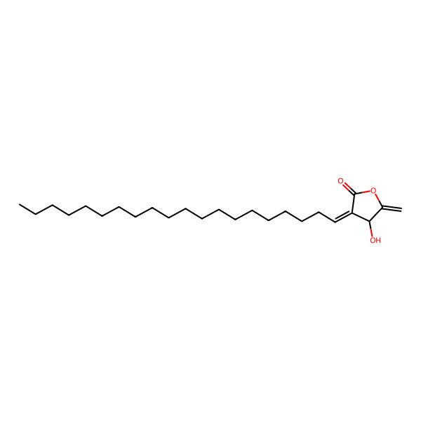 2D Structure of 4-Hydroxy-3-icosylidene-5-methylideneoxolan-2-one