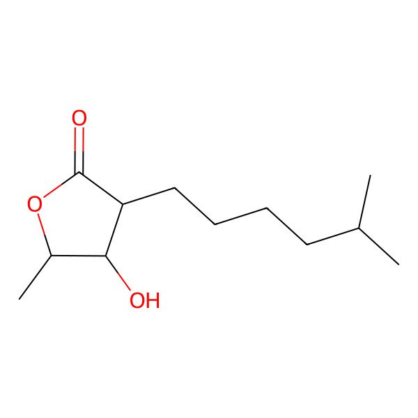 2D Structure of 4-Hydroxy-5-methyl-3-(5-methylhexyl)oxolan-2-one