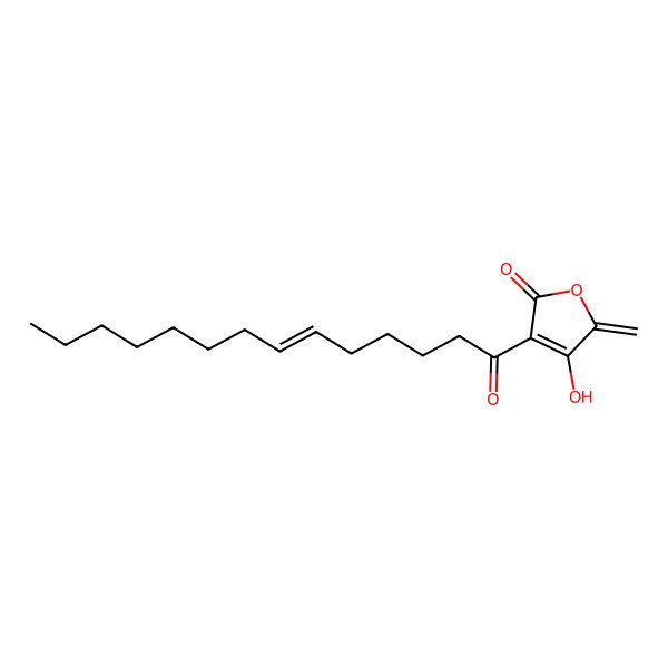 2D Structure of Agglomerin D